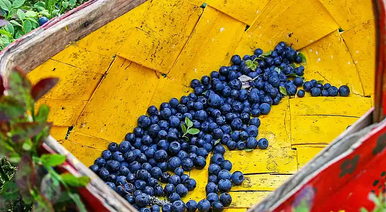 Holiday home in Torsby Municipality