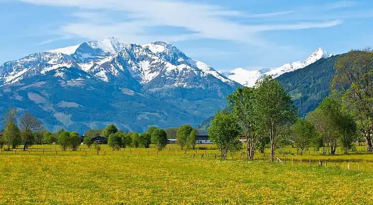 Cottage in Maishofen
