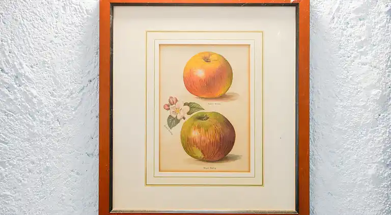 Villa in Castiglione in Teverina