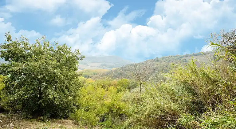 Holiday home in Europe