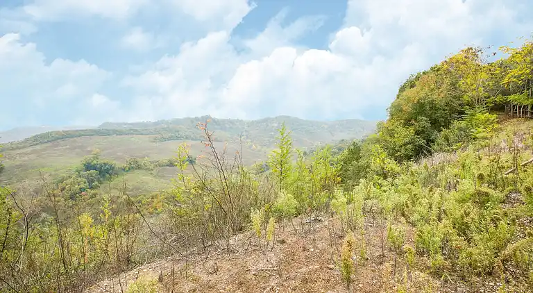 Villa in Castiglione in Teverina