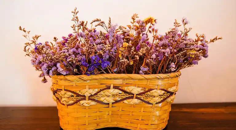 Holiday home in Europe