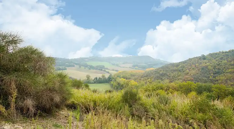 Holiday home in Europe