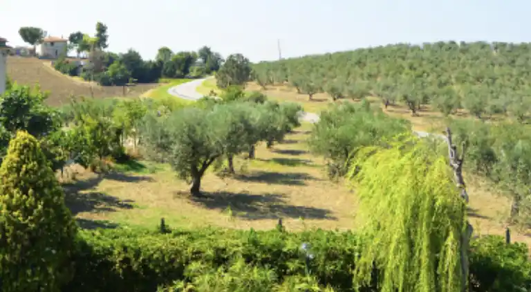 Semesterbostad i Petacciato