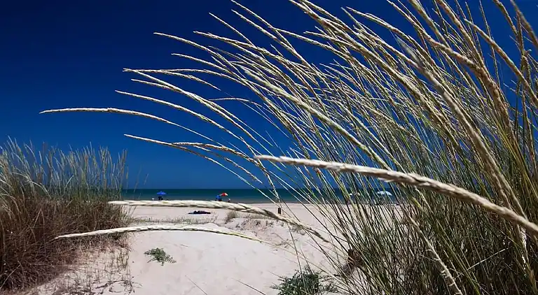 Semesterbostad i Petacciato