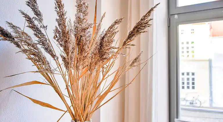 Apartment in Kücknitz