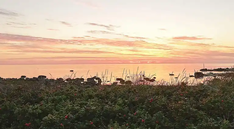 Holiday home in Falkenberg V