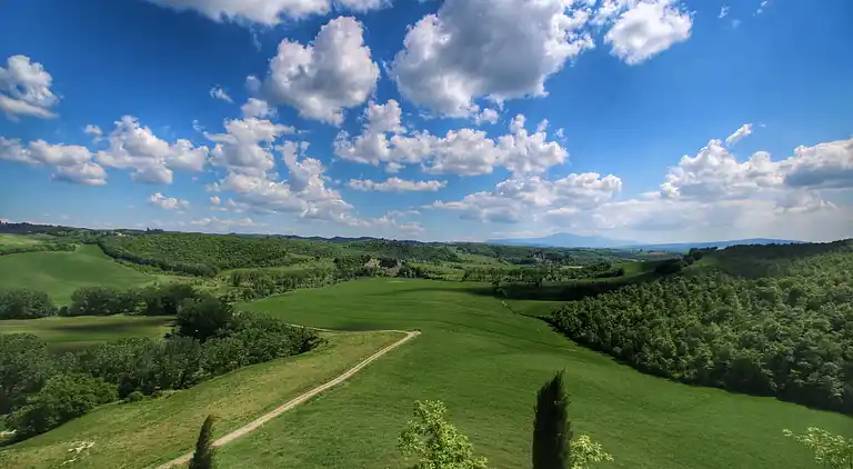 Farm house in Buonconvento