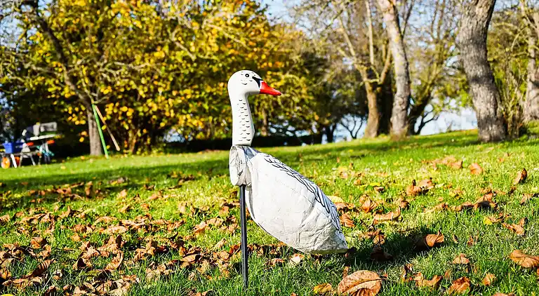 Manor house in Carinerland