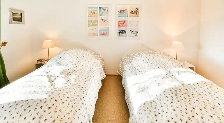 Manor house in Carinerland