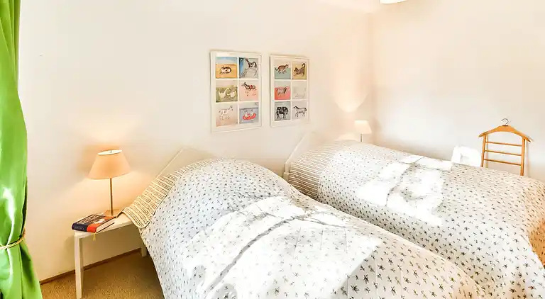 Manor house in Carinerland