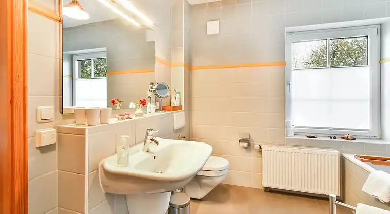 Manor house in Carinerland