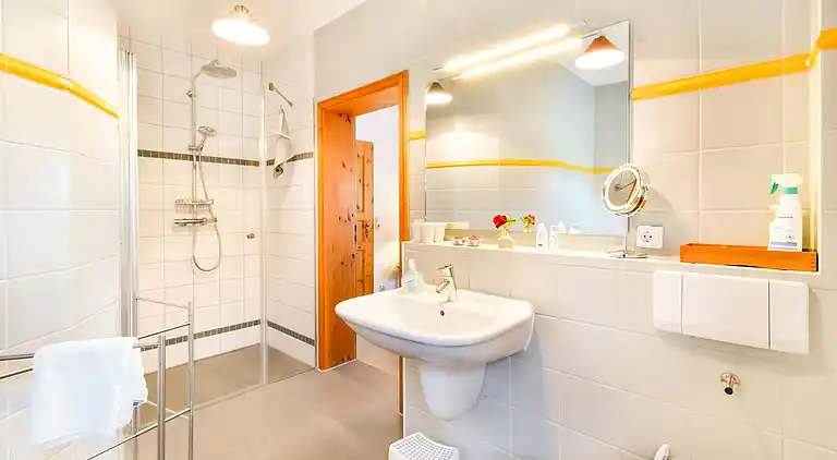 Manor house in Carinerland