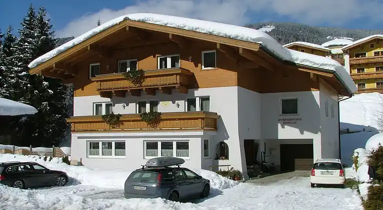 Apartment in Viehhofen