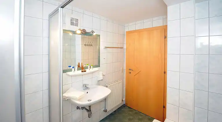 Ferielejlighed i Viehhofen