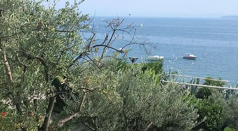 Apartment in Padenghe sul Garda