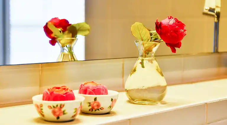 Manor house in Carinerland