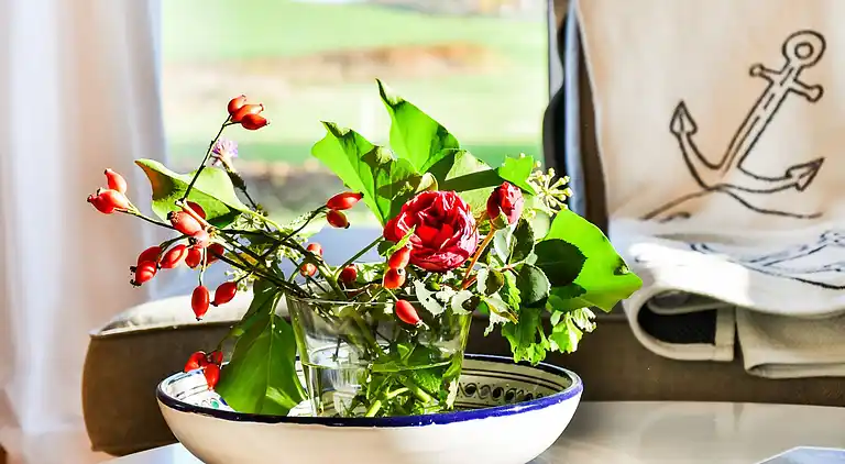 Manor house in Carinerland