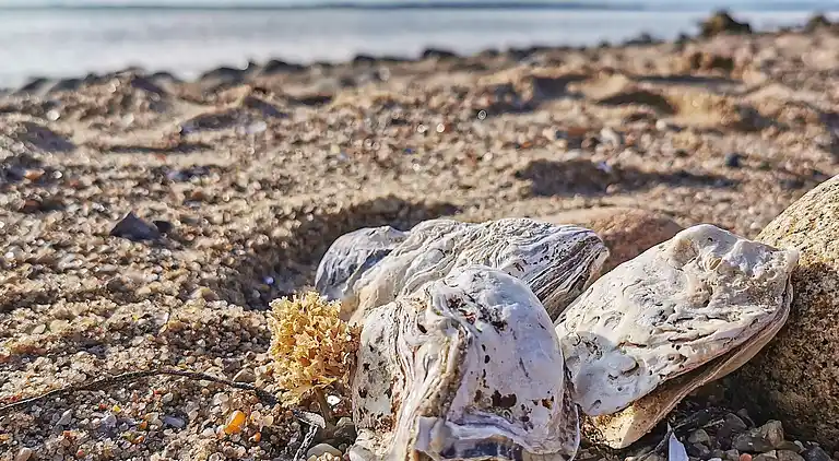 Holiday home in Spøttrup