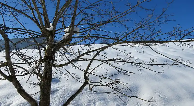 Ferielejlighed i Maria Alm