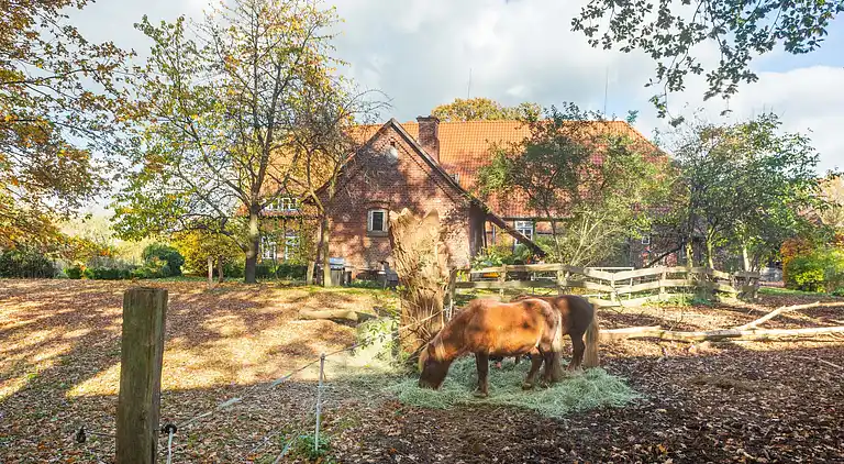 Farm house in Langlingen