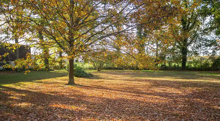 Farm house in Langlingen