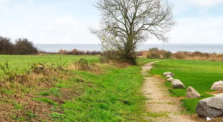 Ferienhaus in Nordborg