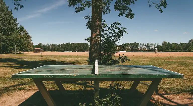 Cottage in Saint-Jean-de-Sauves