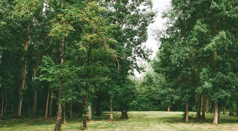 Cottage in Saint-Jean-de-Sauves