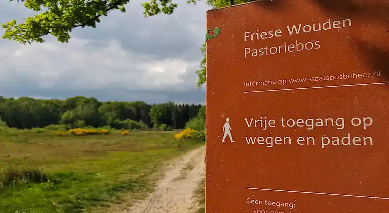 Holiday home in Noordwolde