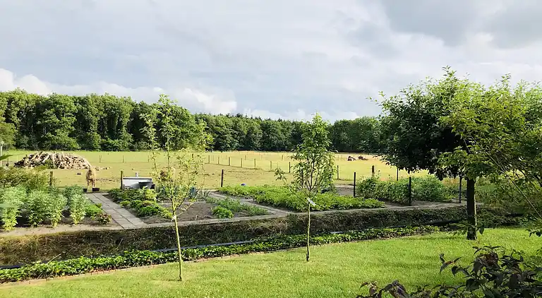 Holiday home in Noordwolde