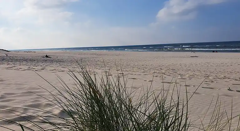 Chalet in Smołdziński Las