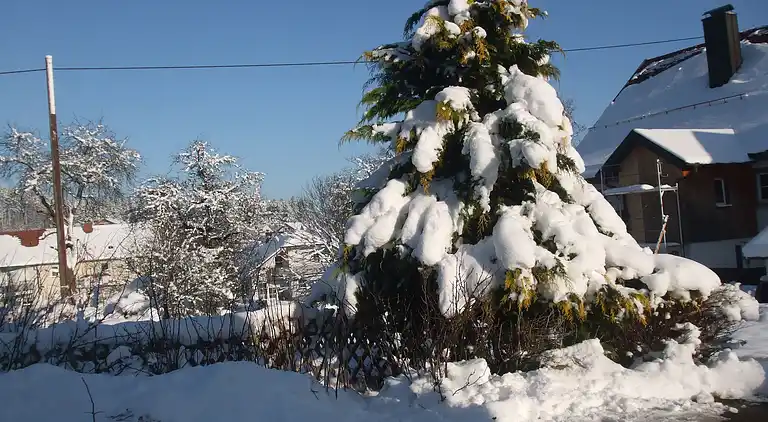 Ferielejlighed i Fischbach