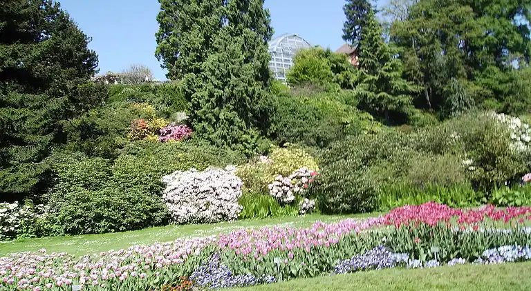 Ferielejlighed i Fischbach