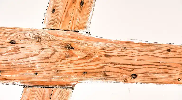 Apartment in Behnkenhagen