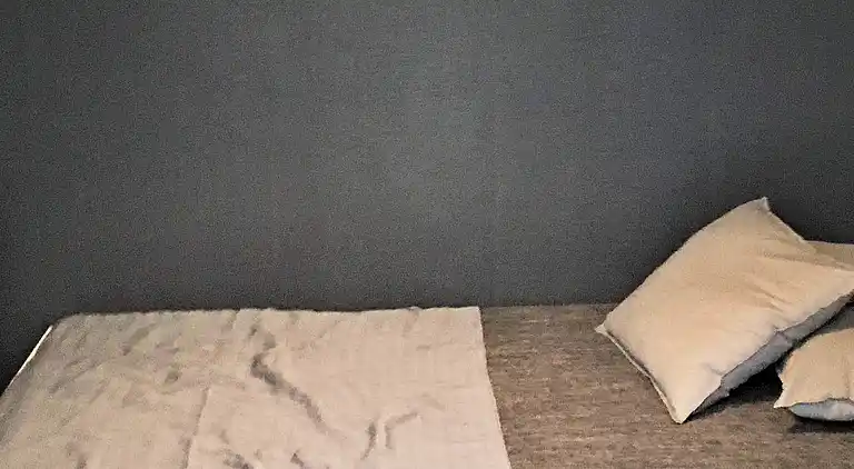 Ferienhaus in Älvdalen N