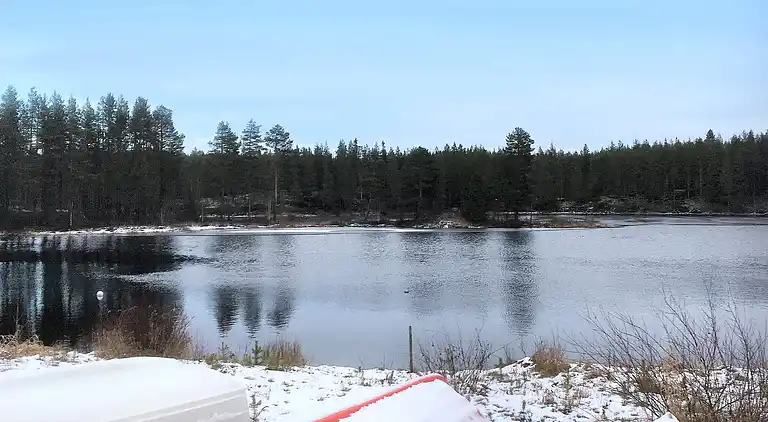 Ferienhaus in Älvdalen N