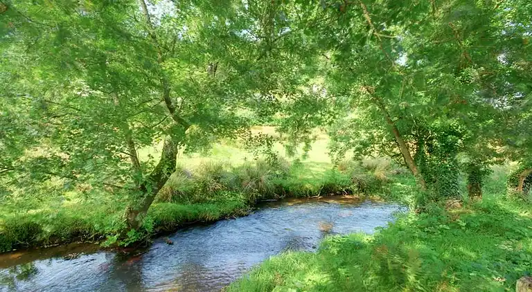 Sommerhus i Swimbridge