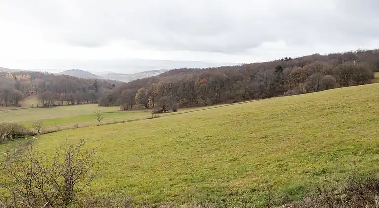 Ferienhaus in Trusetal