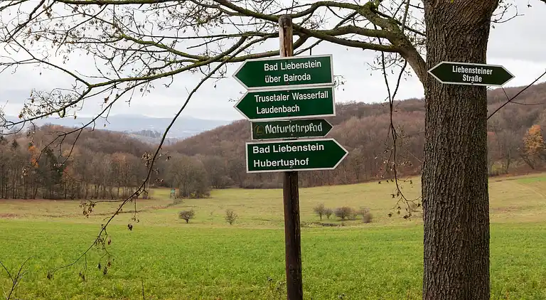 Ferienhaus in Trusetal