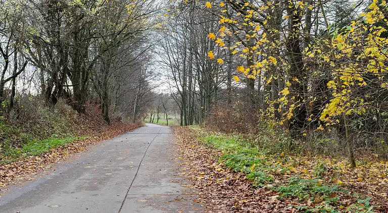 Ferienhaus in Trusetal