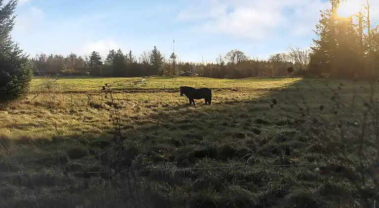 Sommerhus i Fjerritslev