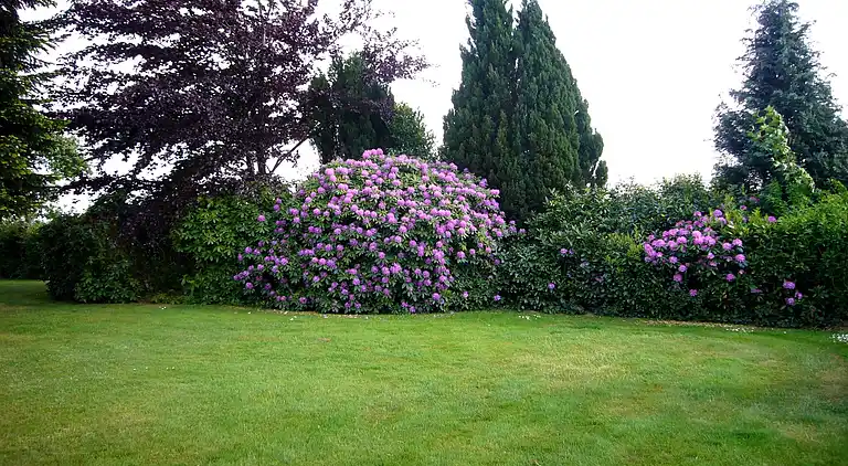 Ferielejlighed i Krentrup