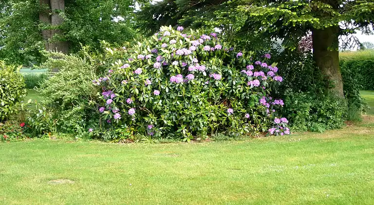 Ferielejlighed i Krentrup