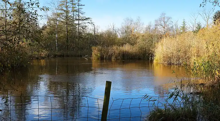 Maison de vacances au Frørup