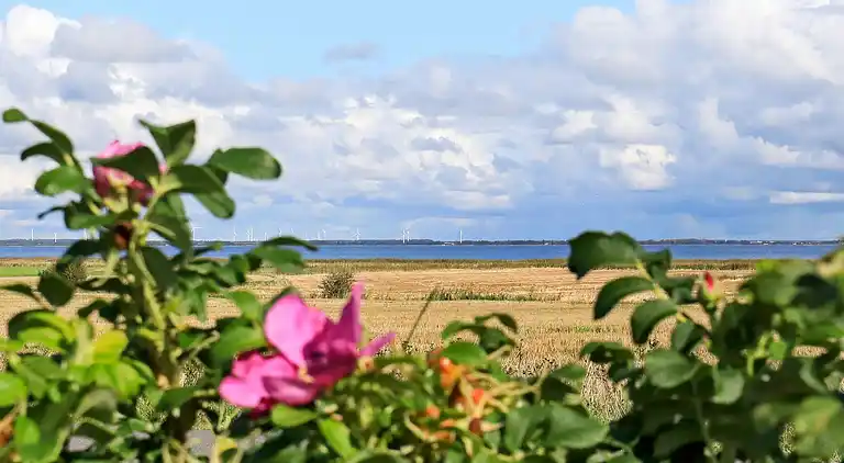 Holiday home in Nørre Fjand