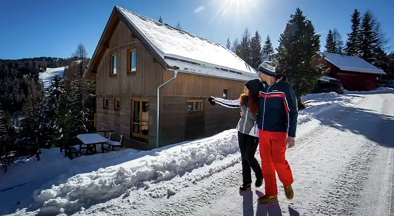 Cottage in Predlitz-Turrach