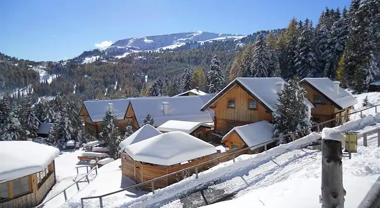 Cottage in Predlitz-Turrach