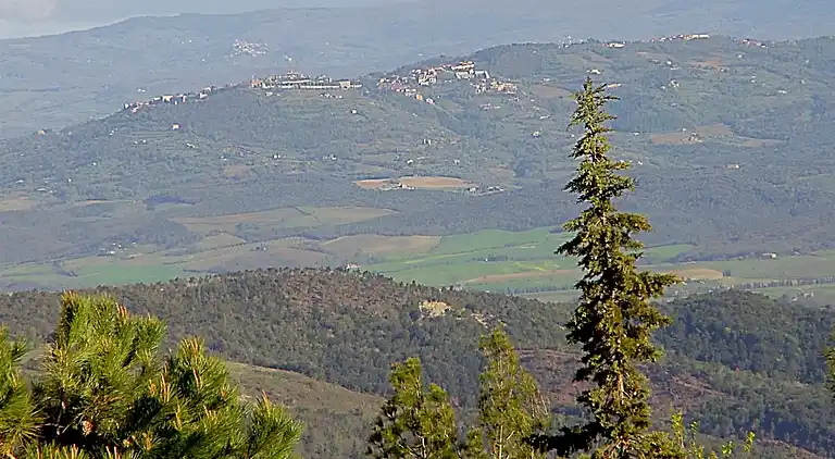 Mandolino Apartment Tuscany countryside, Siena