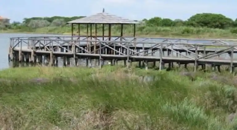 Apartment in Rosolina Mare